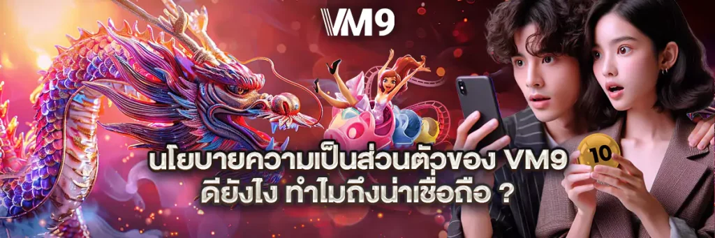นโยบายความเป็นส่วนตัว vm9